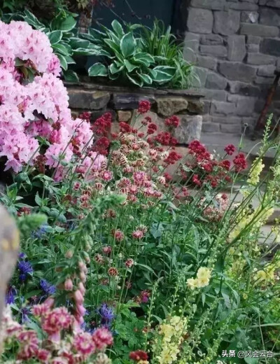 植物配置是花园设计的灵魂，需要考虑高矮胖瘦、前后关系、营造量感、质感、色彩与香气等因素。选择高低不同的花草进行搭配，让花园内容更加丰富；选择合适的品种和数量，产生视觉效果；合理配置不同质感的植物，可以…