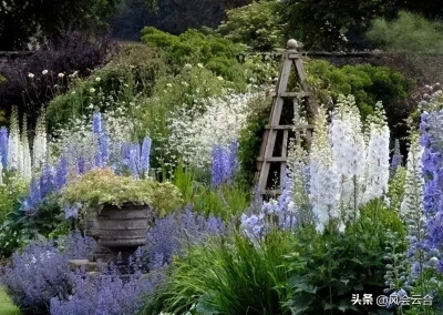 植物配置是花园设计的灵魂，需要考虑高矮胖瘦、前后关系、营造量感、质感、色彩与香气等因素。选择高低不同的花草进行搭配，让花园内容更加丰富；选择合适的品种和数量，产生视觉效果；合理配置不同质感的植物，可以…