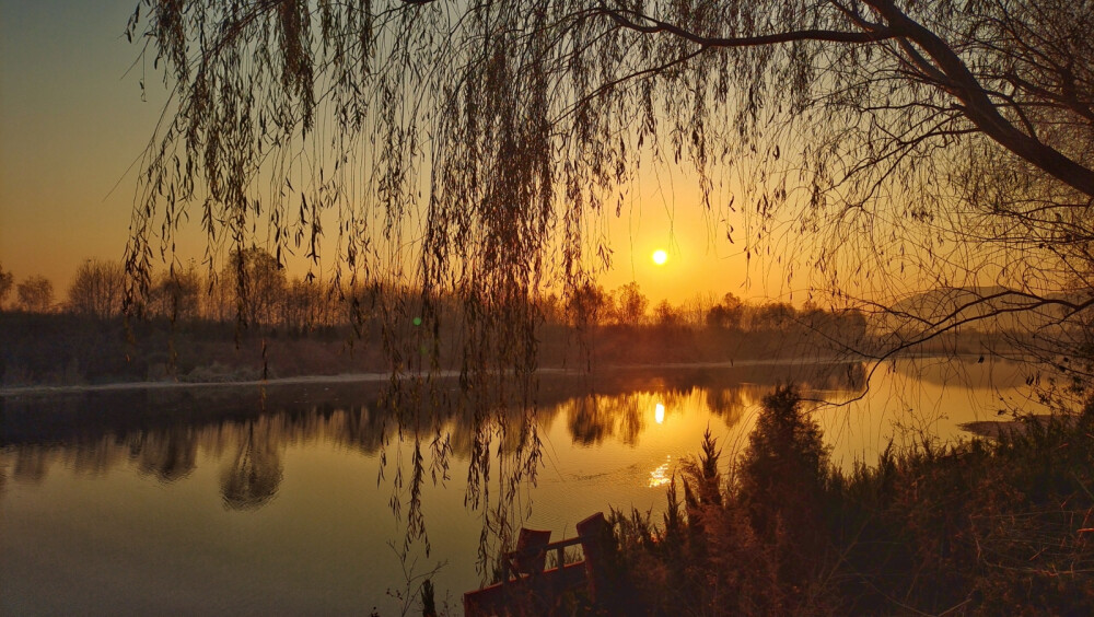 故乡的水。出村口北侧东西方向河道，不过桥沿河向西，河中平铺的水草及露出水面干枯的香蒲，河水经过两道储水围堤流速缓慢。岸边芦苇、树丛，边走边瞧，回头望向东方的日出，一股暖流贯通全身。看那阳光映在河中，近处暖黄色，远处冷灰色。记录美好，留下记忆。