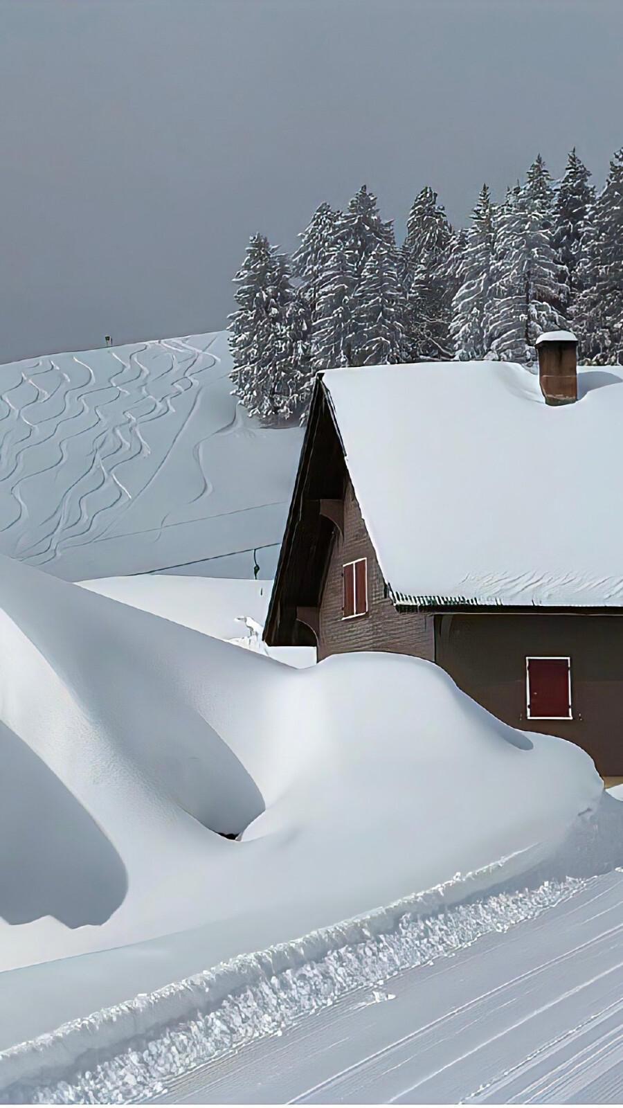 白色 冬天 雪景 锁屏壁纸聊天背景