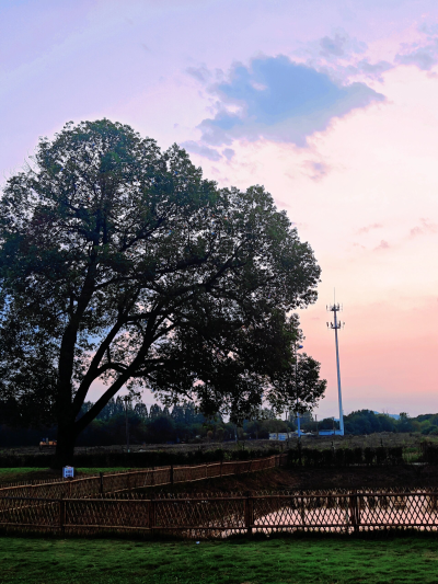 后陡门的夕阳