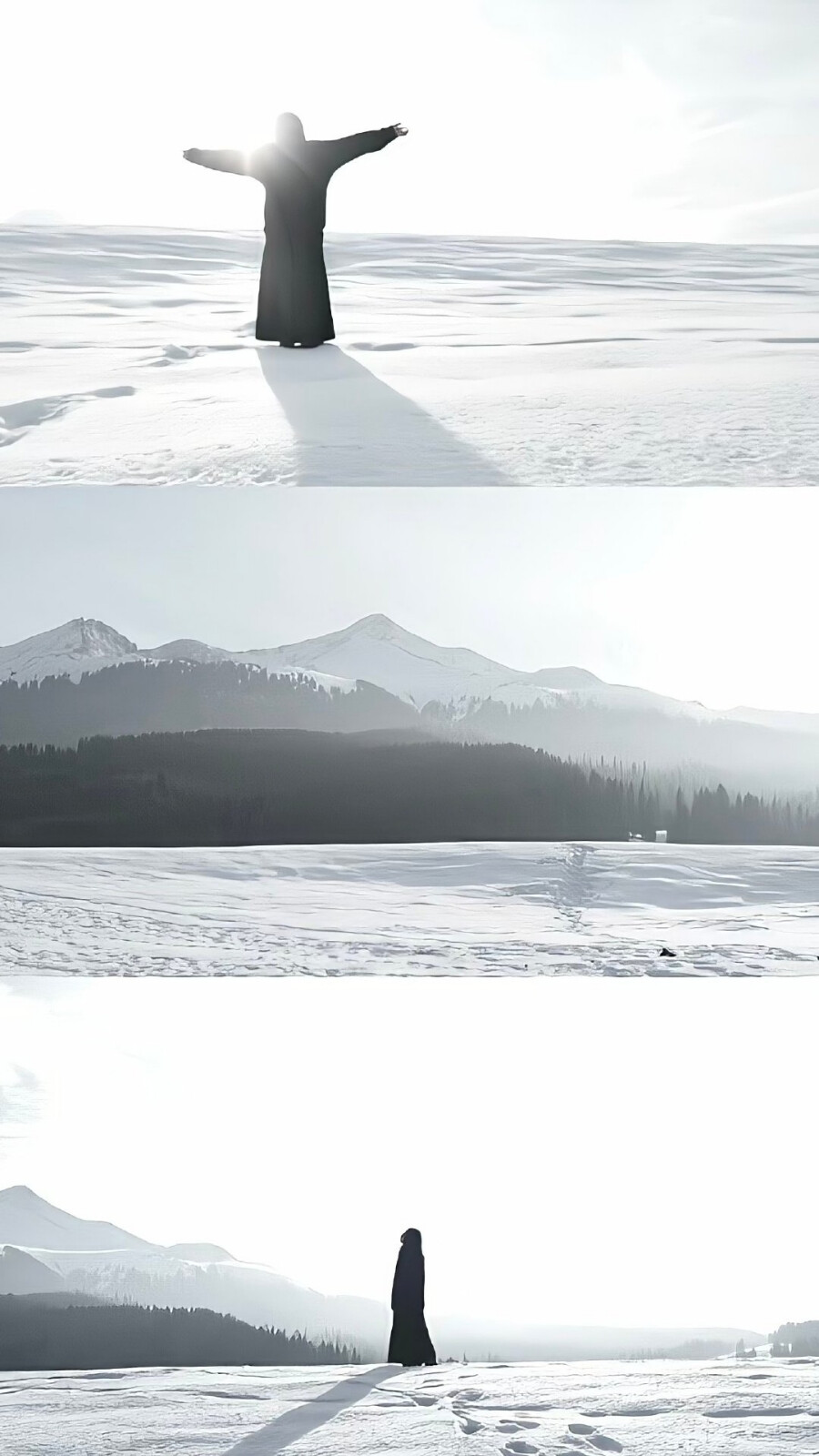 白色 冬天 雪景 锁屏壁纸聊天背景