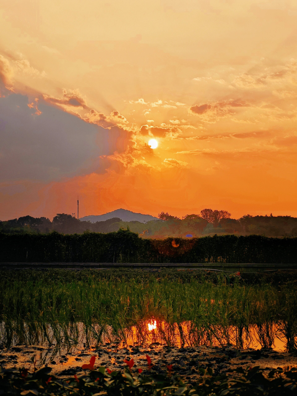 后陡门的夕阳