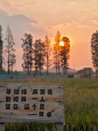 后陡门的夕阳