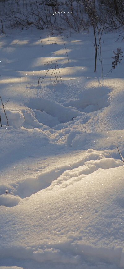 白色 冬天 雪景 锁屏壁纸聊天背景