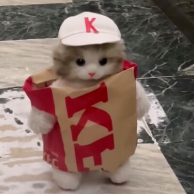 猫头像