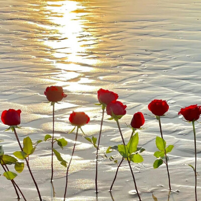 背景·图源微博