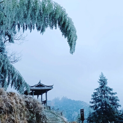 瑞雪兆丰年 2024喜事连连连??