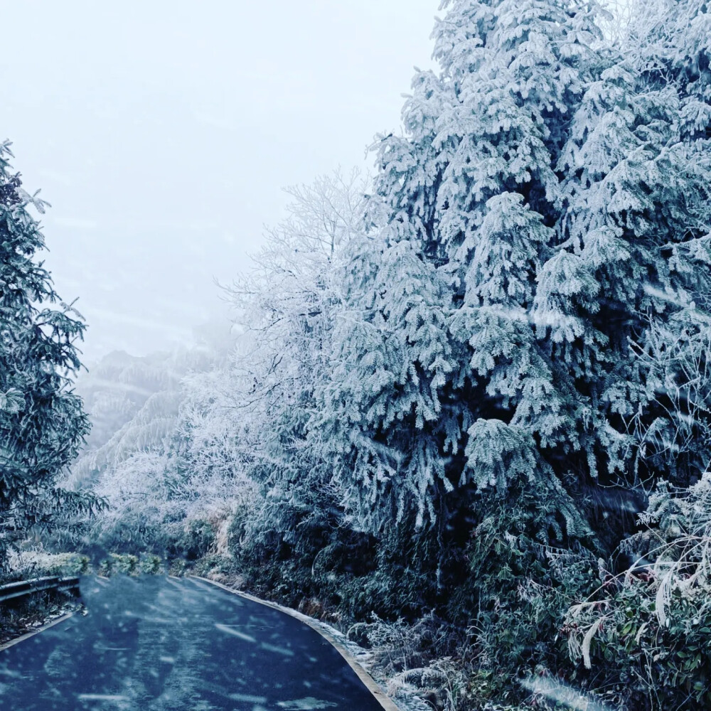 瑞雪兆丰年 2024喜事连连连❤️