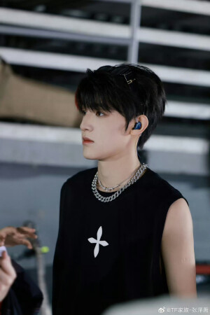 时代峰峻-TF家族