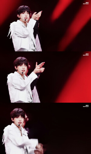 时代峰峻-TF家族