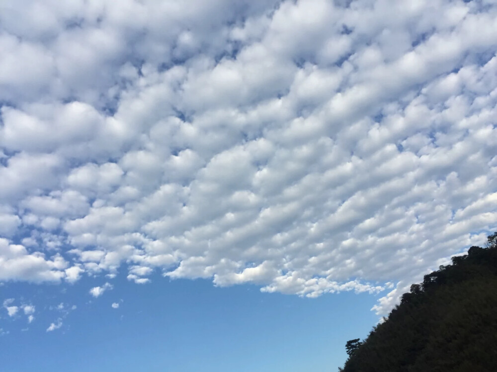 万世鸿宴许盛愿，烟火遍野兆新年。