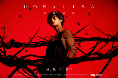 二专先行曲MONALISA