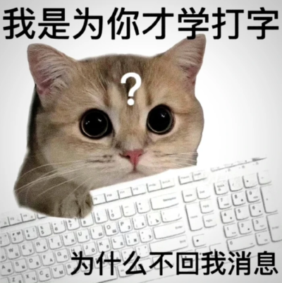 沙雕猫咪表情包