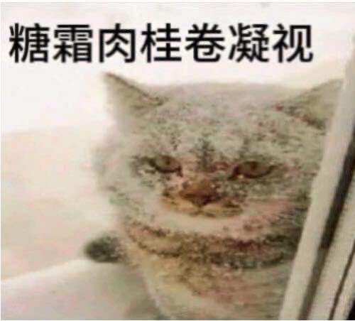 甜点猫咪表情包