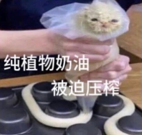 甜点猫咪表情包