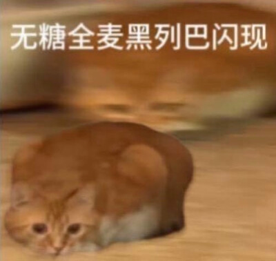 甜点猫咪表情包