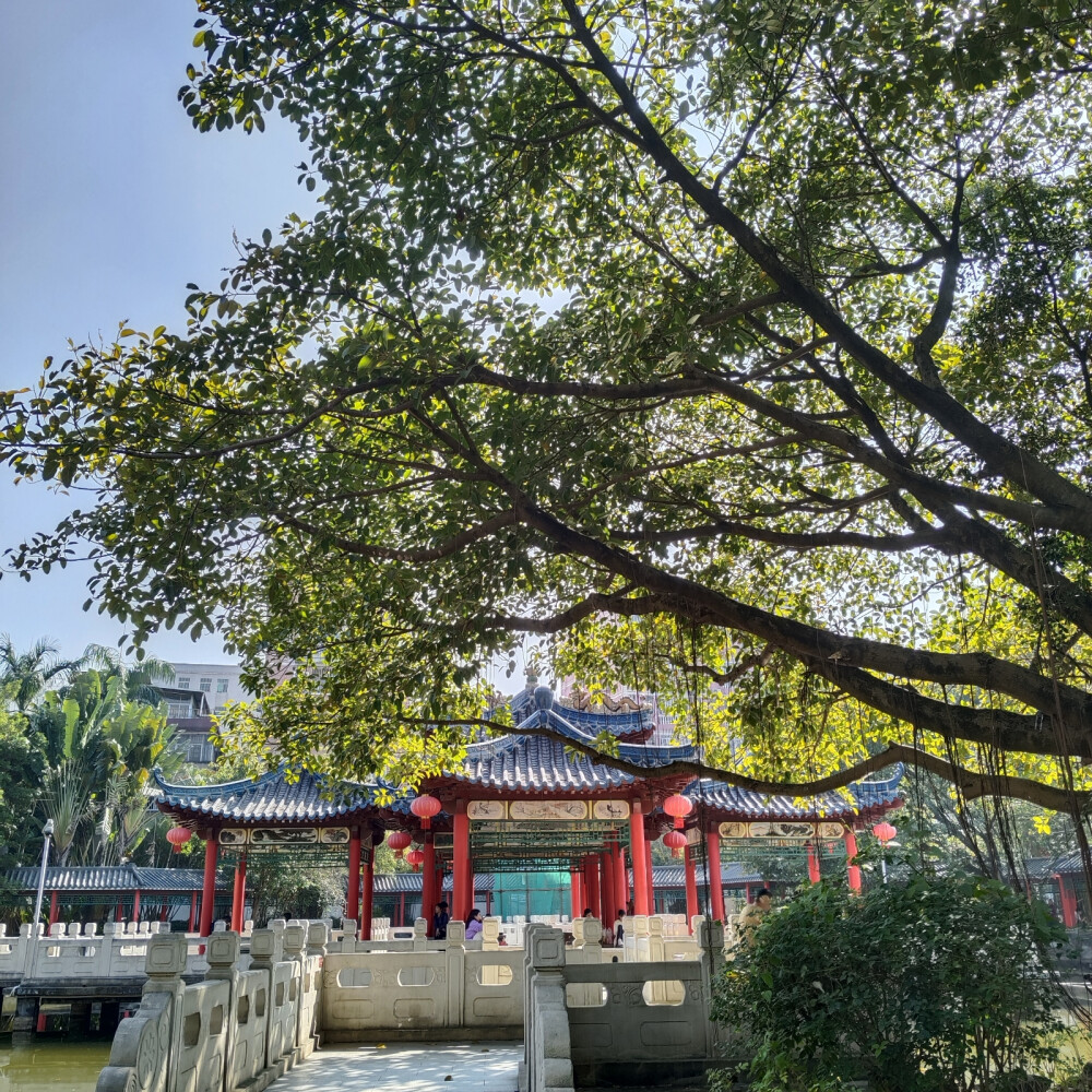 深圳龙兴寺