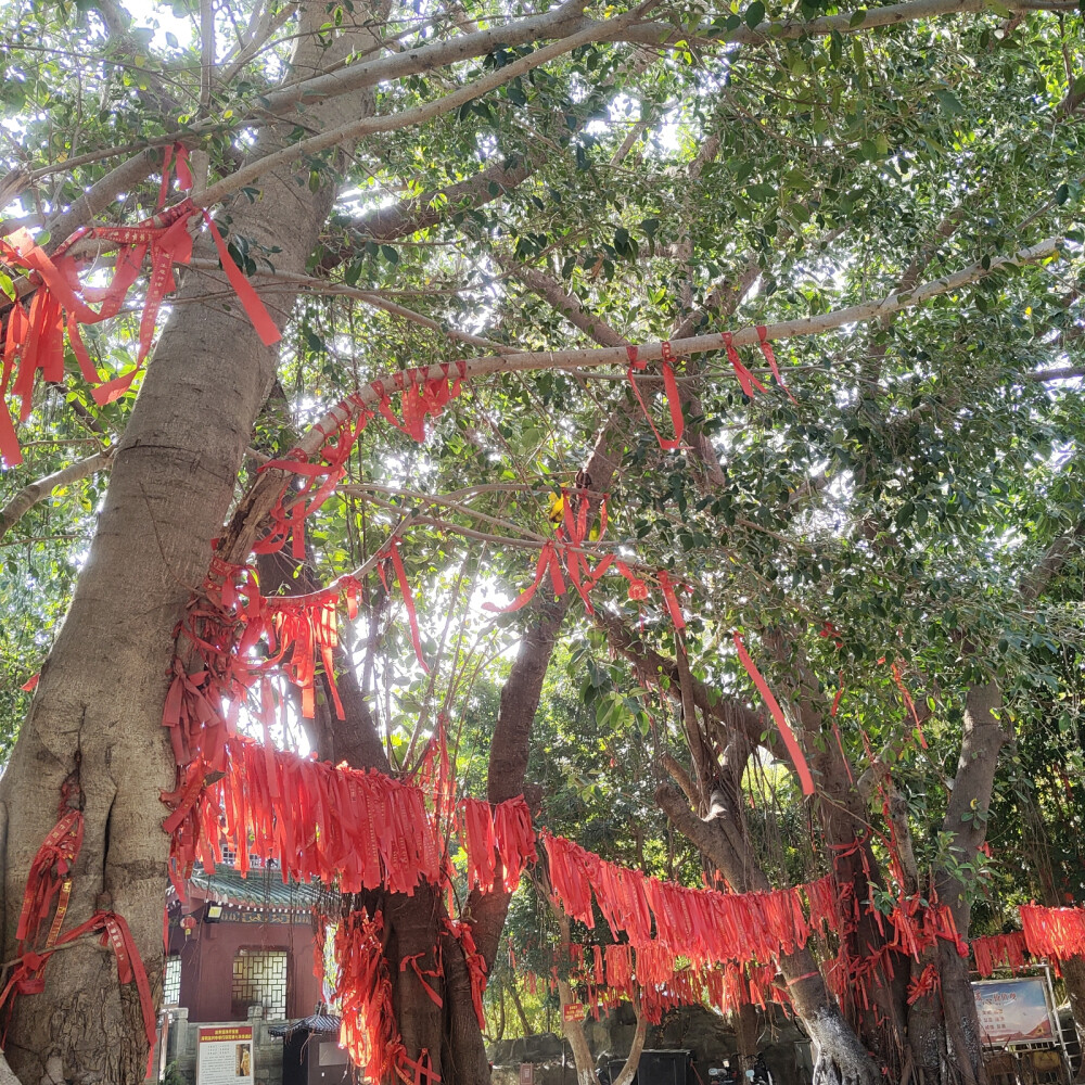 深圳龙兴寺