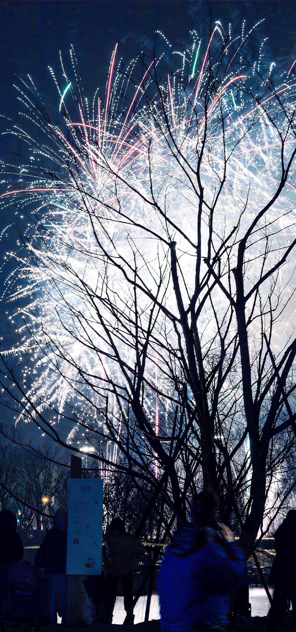 新年烟花壁纸