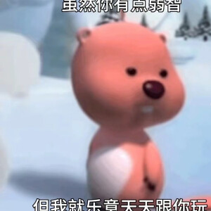 自用频率高的表情包