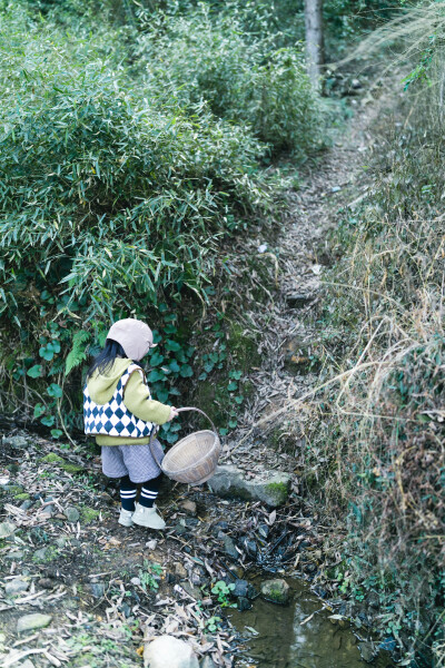 到了挖冬笋的季节
摄影：洪小漩
出镜：菲比和爸爸
2023年的最后一天，阿科兴致勃勃地换上套鞋，提着锄头出门。菲比提溜着竹篓，边喊着“爸爸等等我”边小跑着追上阿科的脚步。
爷俩要去挖冬笋。
爷爷奶奶家四面…