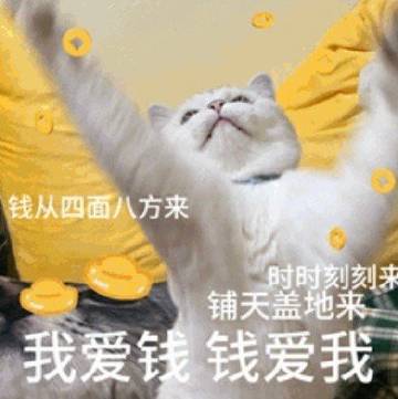 今年的工打完了！2023年的你辛苦啦！
转发这个发财猫猫，明年一定苦少少，钱多多！