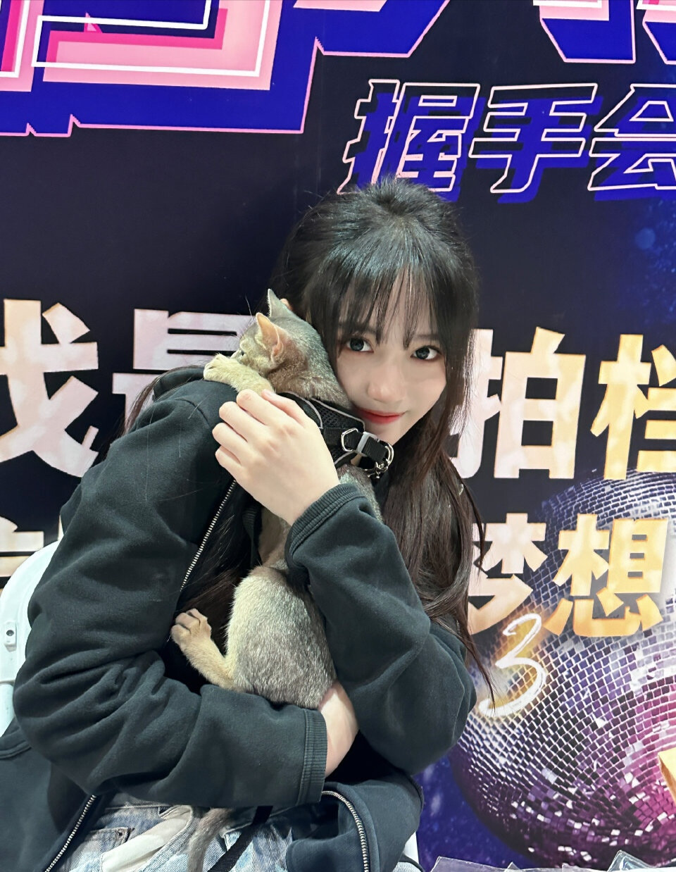 snh48
费沁源