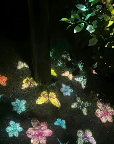 WeChat蝴蝶背景图