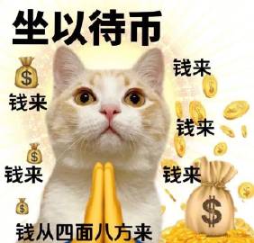 今年的工打完了！2023年的你辛苦啦！
转发这个发财猫猫，明年一定苦少少，钱多多！