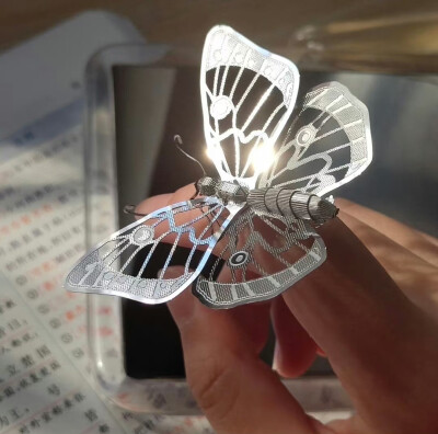 WeChat蝴蝶背景图