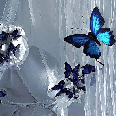 WeChat蝴蝶背景图