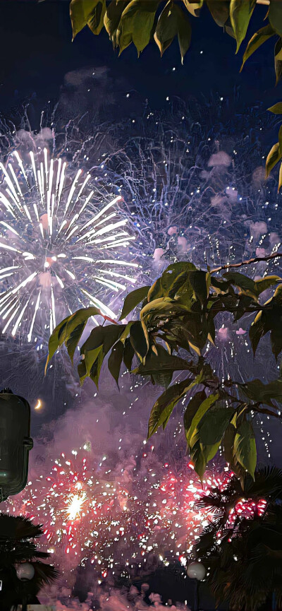 辞暮尔尔，烟火年年。❤️烟花壁纸
