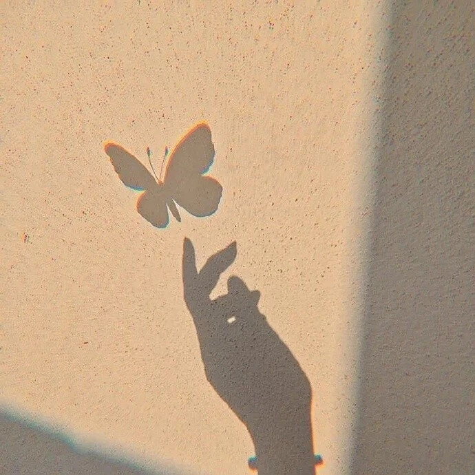 WeChat蝴蝶背景图