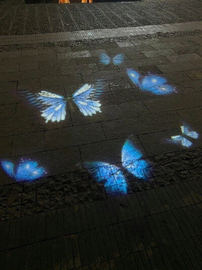 WeChat蝴蝶背景图