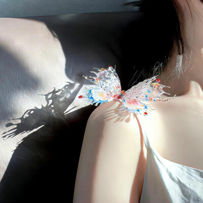 WeChat蝴蝶背景图