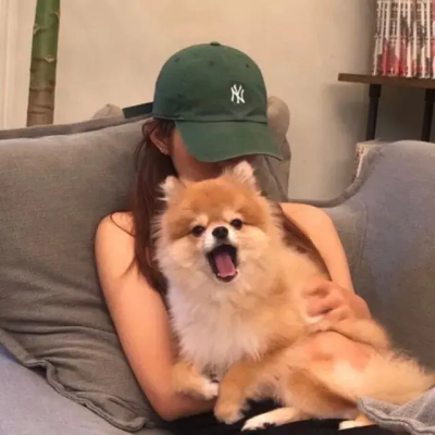 小姐姐抱萌宠猫猫狗狗头像♥
