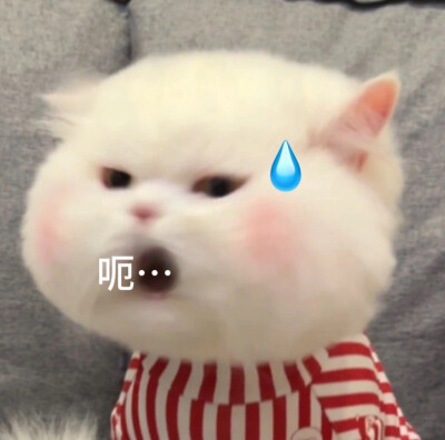 、