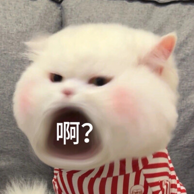 、