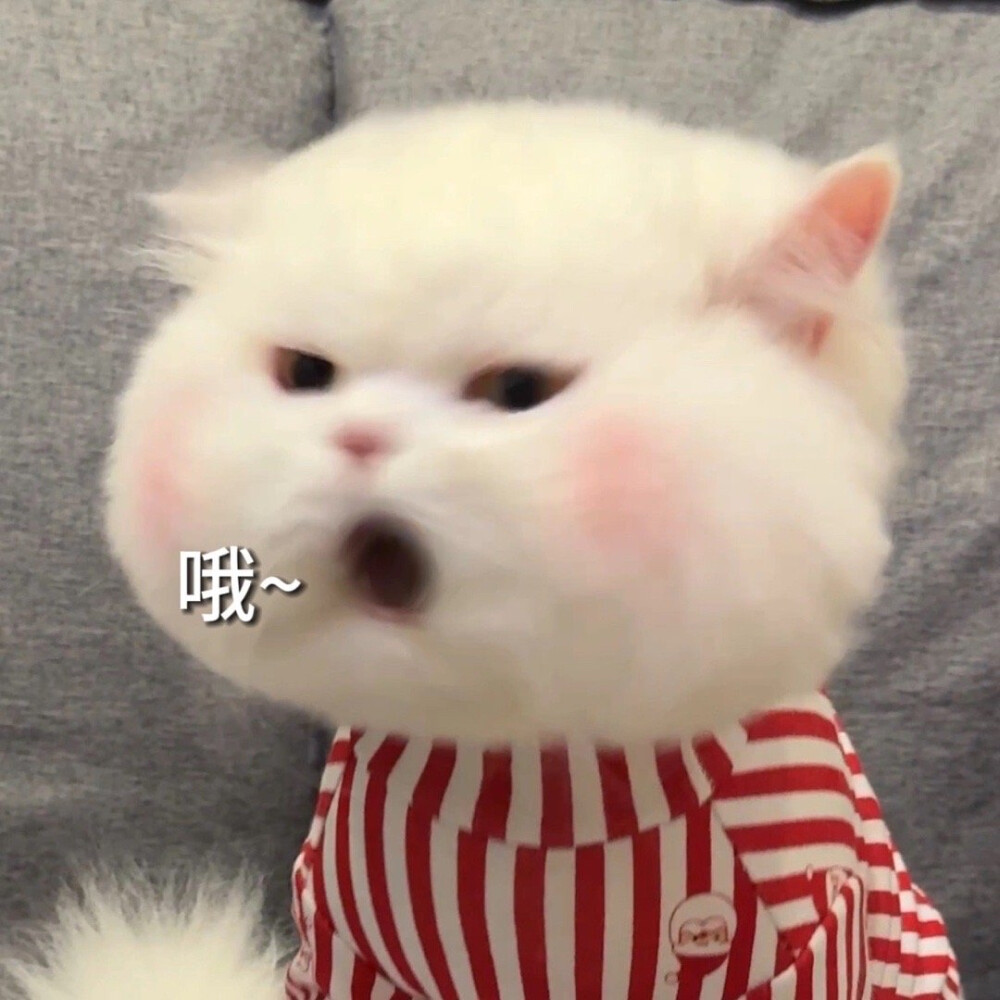 、