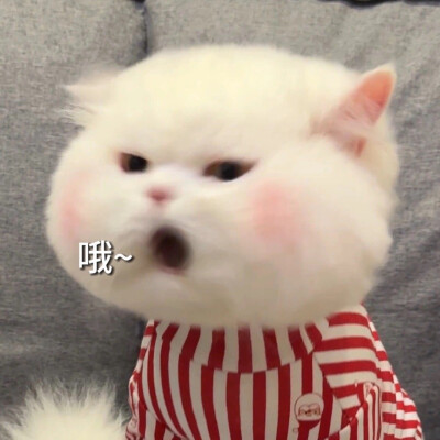 、