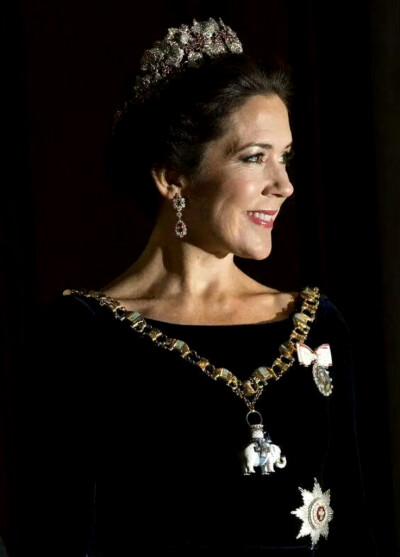 丹麦王储妃玛丽