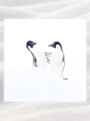 图库里住着我的小小梦→Painting