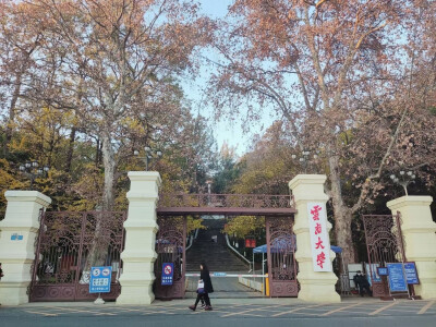 大学