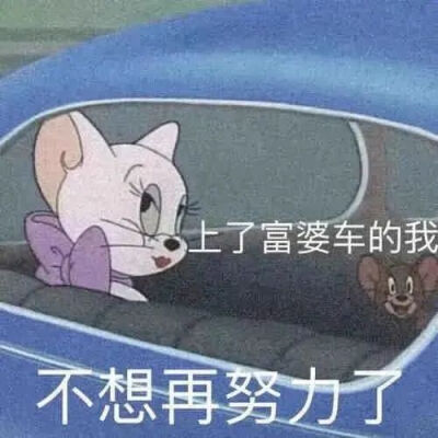 猫和老鼠表情包