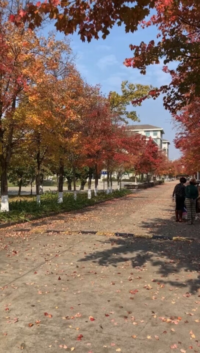 丽敏来福州12月31日