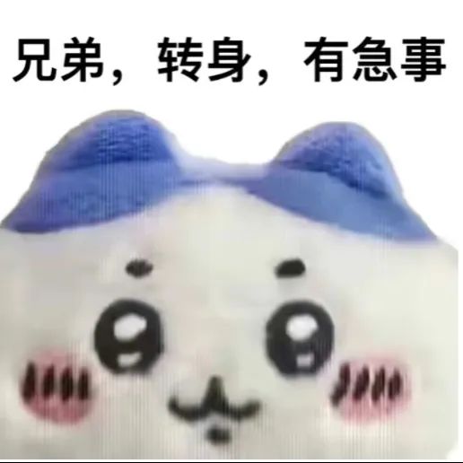 小八表情包