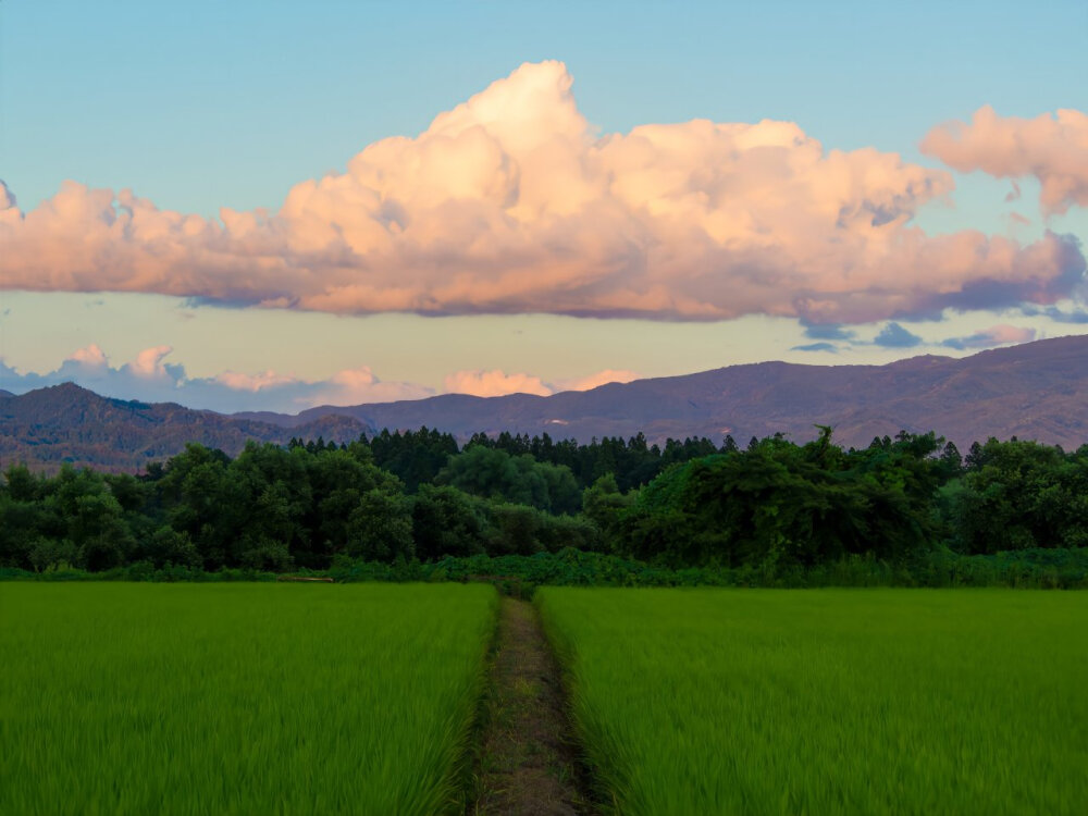 背景图 小众