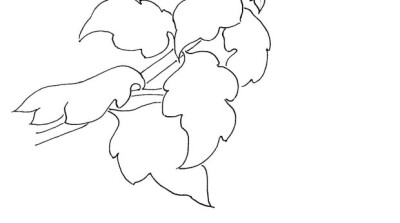 白描