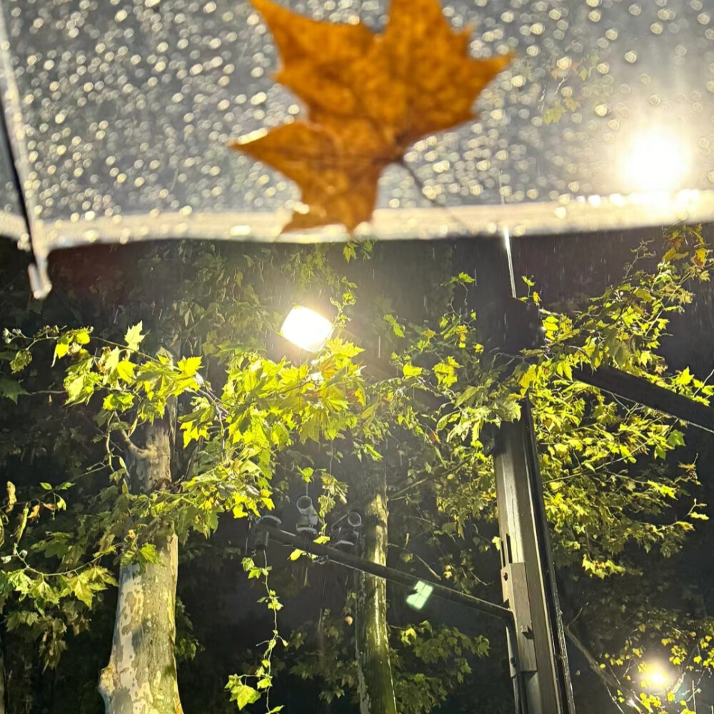 雨天背景图